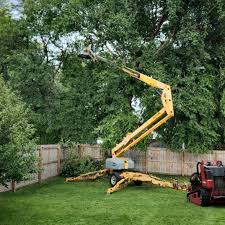 Robertsville, NJ Tree Removal Services Company